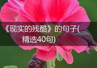 《现实的残酷》的句子(精选40句)