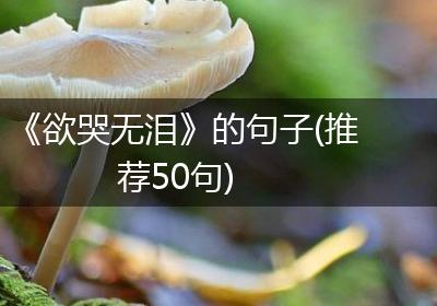 《欲哭无泪》的句子(推荐50句)