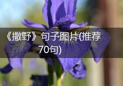 《撒野》句子图片(推荐70句)