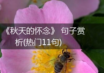 《秋天的怀念》 句子赏析(热门11句)