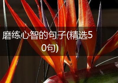 磨练心智的句子(精选50句)
