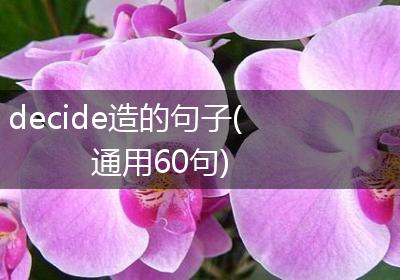 decide造的句子(通用60句)
