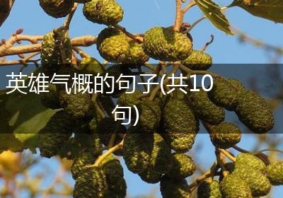 英雄气概的句子(共10句)