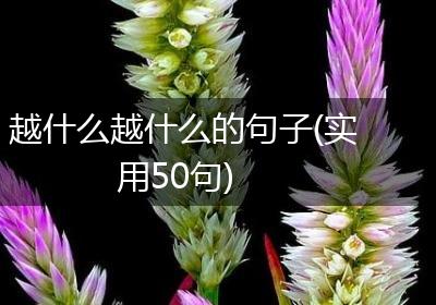 越什么越什么的句子(实用50句)