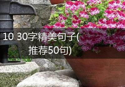 10 30字精美句子(推荐50句)