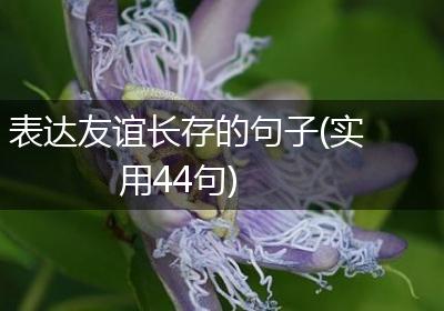 表达友谊长存的句子(实用44句)