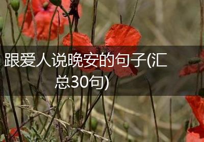 跟爱人说晚安的句子(汇总30句)