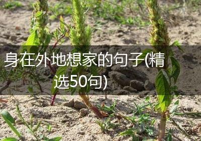 身在外地想家的句子(精选50句)