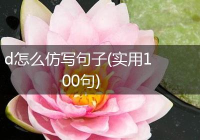 d怎么仿写句子(实用100句)