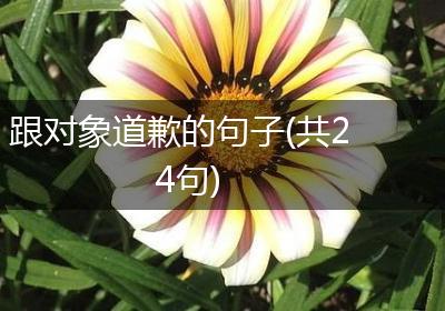 跟对象道歉的句子(共24句)