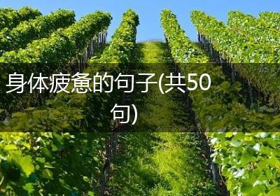 身体疲惫的句子(共50句)