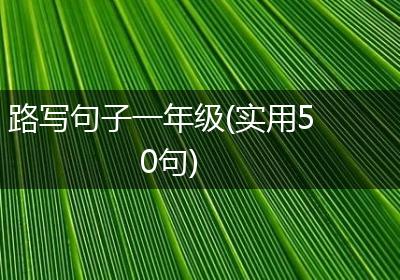 路写句子一年级(实用50句)