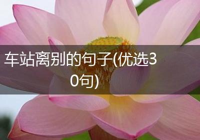 车站离别的句子(优选30句)