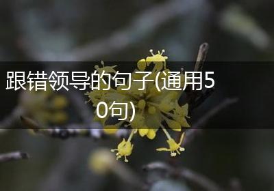 跟错领导的句子(通用50句)