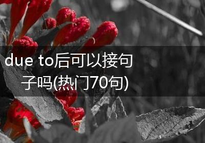 due to后可以接句子吗(热门70句)