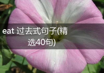 eat 过去式句子(精选40句)