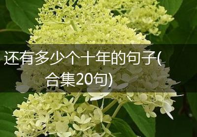还有多少个十年的句子(合集20句)