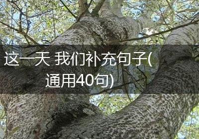 这一天 我们补充句子(通用40句)