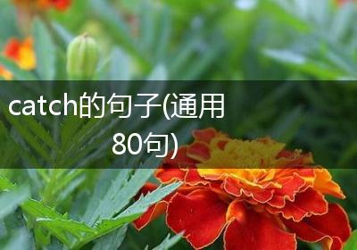 catch的句子(通用80句)
