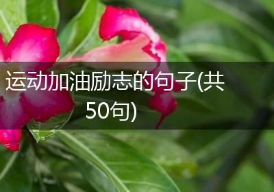 运动加油励志的句子(共50句)