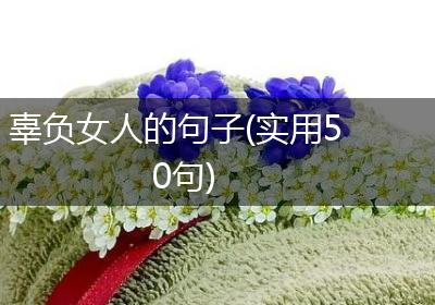 辜负女人的句子(实用50句)