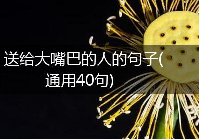 送给大嘴巴的人的句子(通用40句)