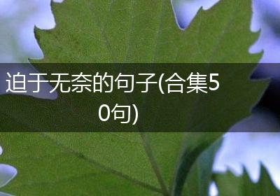 迫于无奈的句子(合集50句)