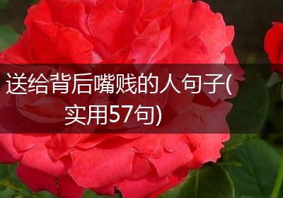 送给背后嘴贱的人句子(实用57句)