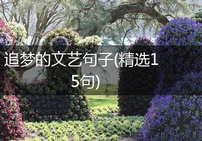 追梦的文艺句子(精选15句)