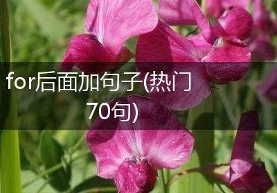for后面加句子(热门70句)