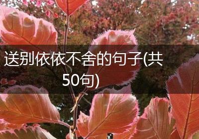 送别依依不舍的句子(共50句)