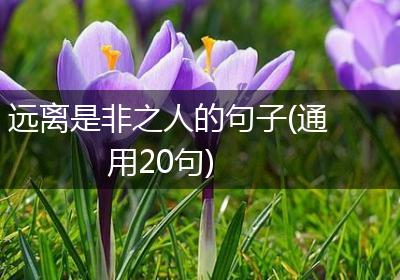 远离是非之人的句子(通用20句)