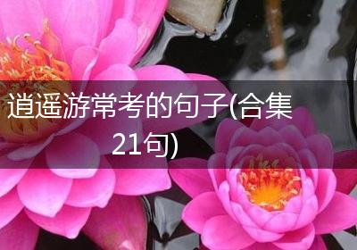 逍遥游常考的句子(合集21句)