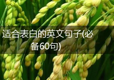 适合表白的英文句子(必备60句)