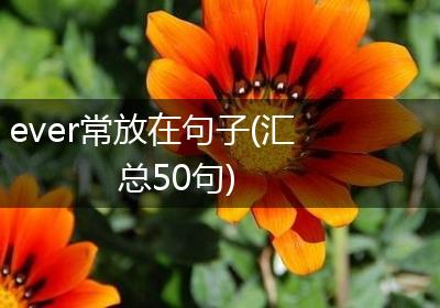 ever常放在句子(汇总50句)