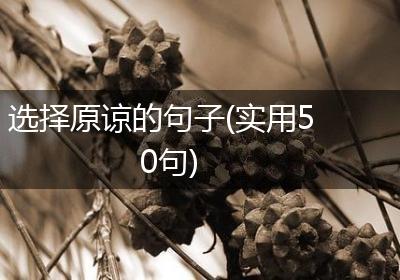 选择原谅的句子(实用50句)