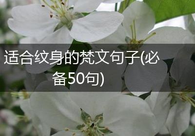 适合纹身的梵文句子(必备50句)