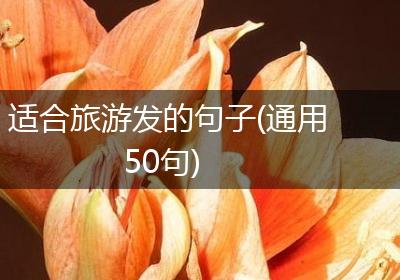 适合旅游发的句子(通用50句)