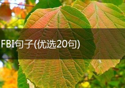 FBI句子(优选20句)