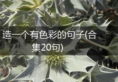 造一个有色彩的句子(合集20句)