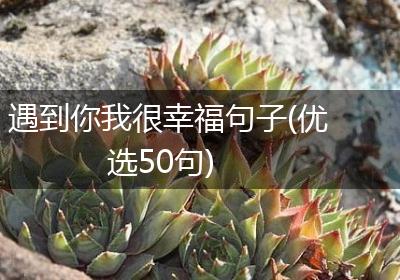 遇到你我很幸福句子(优选50句)
