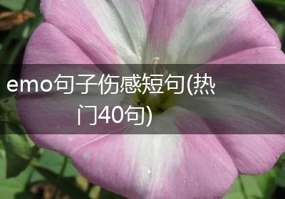 emo句子伤感短句(热门40句)