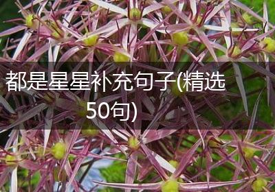 都是星星补充句子(精选50句)
