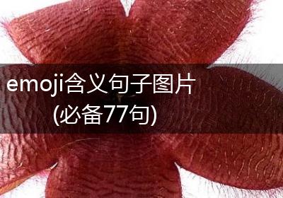 emoji含义句子图片(必备77句)