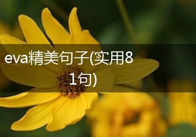 eva精美句子(实用81句)