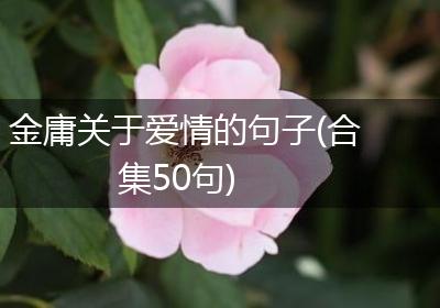 金庸关于爱情的句子(合集50句)