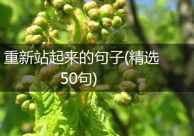 重新站起来的句子(精选50句)