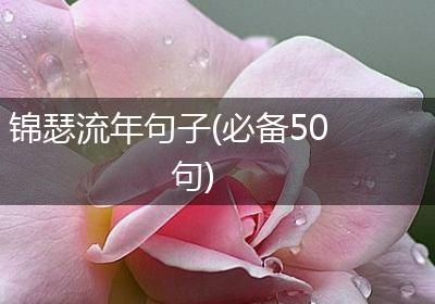 锦瑟流年句子(必备50句)