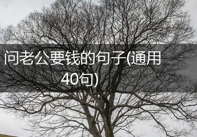 问老公要钱的句子(通用40句)