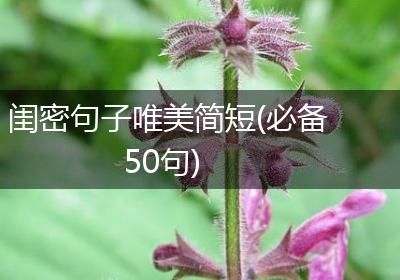 闺密句子唯美简短(必备50句)